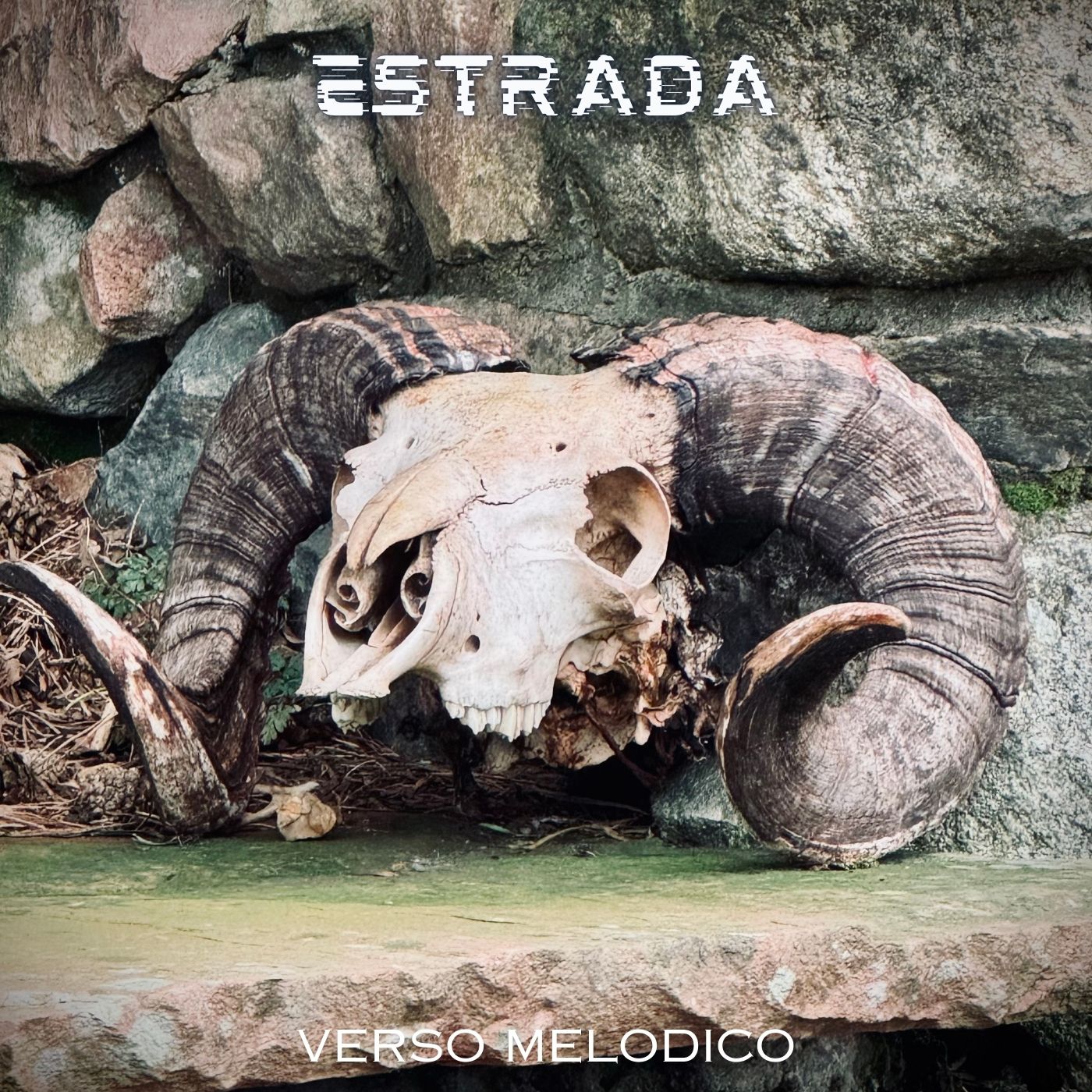 Estrada Music Project