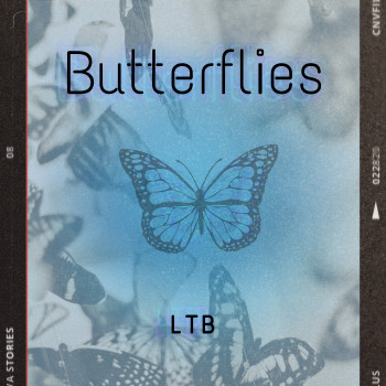 LTB