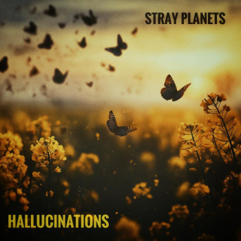 Stray Planets