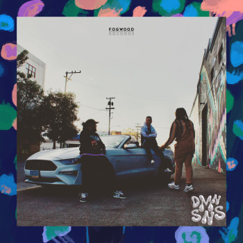 The Dmnsns