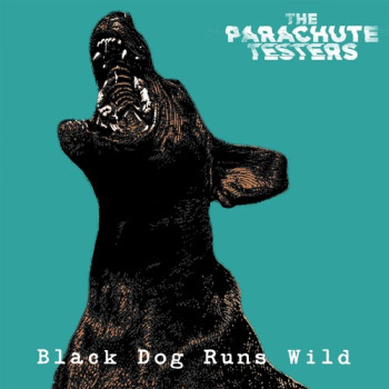 The Parachute Testers
